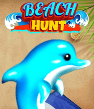 Beach Hunt