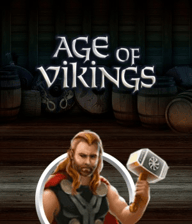 Age of Vikings