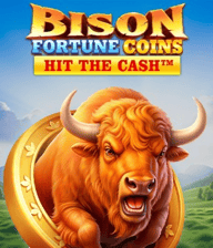 Bison Fortune Coins