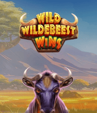 Wild Wildebeest Wins