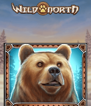 Wild North