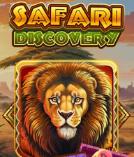 Safari Discovery