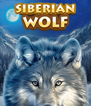 Siberian Wolf
