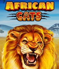 African Cats