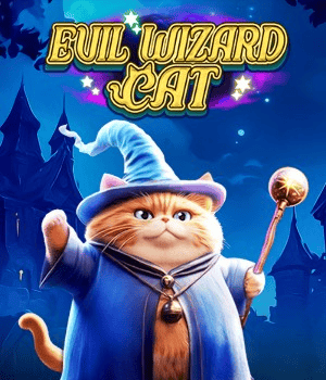 Evil Wizard Cat