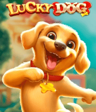 Lucky Dog