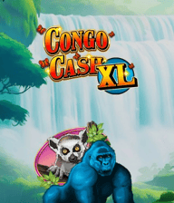 Congo Cash XL
