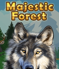 Majestic Forest