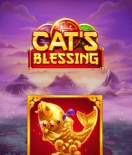 Cat's Blessing