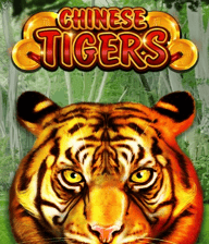 Chinese Tigers