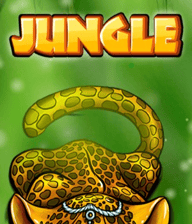 Jungle