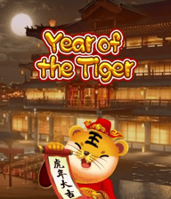Year Of The Tiger