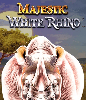 Majestic White Rhino