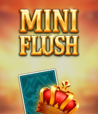 MiniFlush