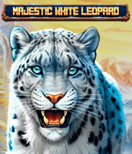 Majestic White Leopard