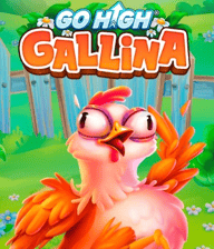 Go High Gallina
