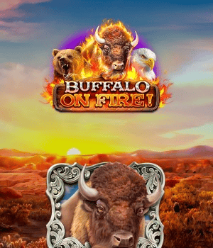 Buffalo on Fire!