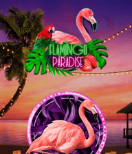 Flamingo Paradise
