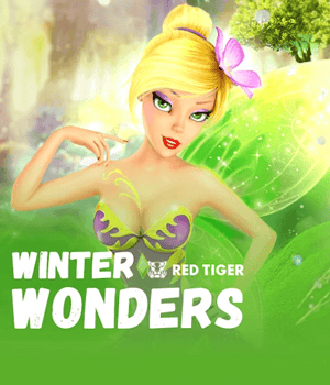 Winter Wonders