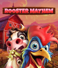 Rooster Mayhem