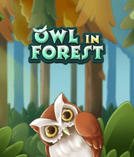 Owl In Forest