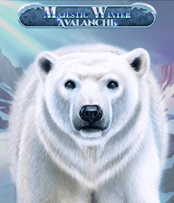 Majestic Winter - Avalanche