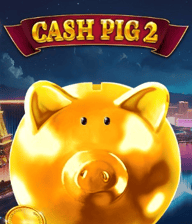 Cash Pig 2