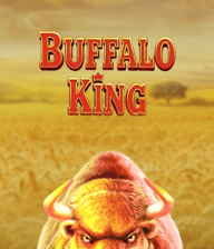 Buffalo King