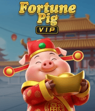 Fortune Pig VIP