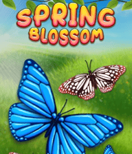 Spring Blossom