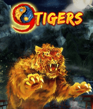 9 Tigers