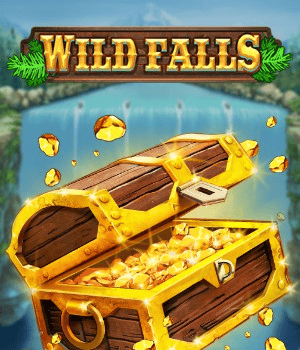 Wild Falls