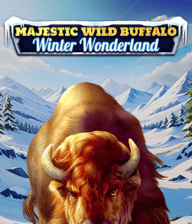 Majestic Wild Buffalo - Winter Wonderland