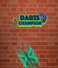 Darts Champion