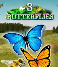 3 Butterflies