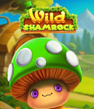 Wild Shamrock