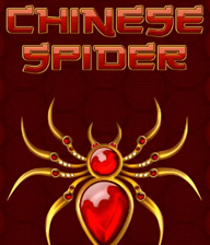 Chinese Spider