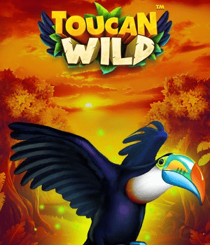 Toucan Wild