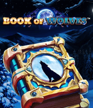 Book Of Wolves