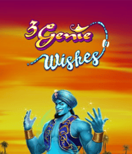 3 Genie Wishes