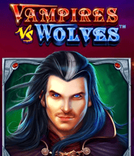 Vampires vs Wolves