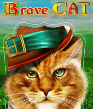 Brave Cat