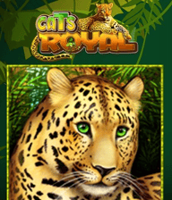 Cats Royal