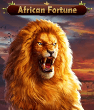 African Fortune