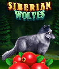 Siberian Wolves