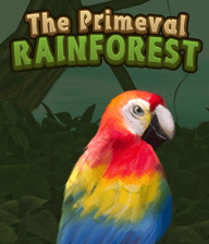 Primeval Rainforest