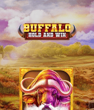 Buffalo Hold and Win