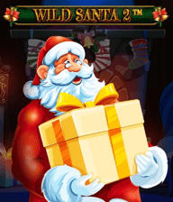 Wild Santa 2