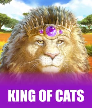 King of Cats