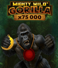 Mighty Wild: Gorilla Burning Board